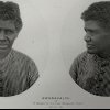 Awabakalin, Woman of the Lake Macquarie Tribe (Margaret) c1840.  Frontispiece to Threlkeld, 1859, printed 1892. 